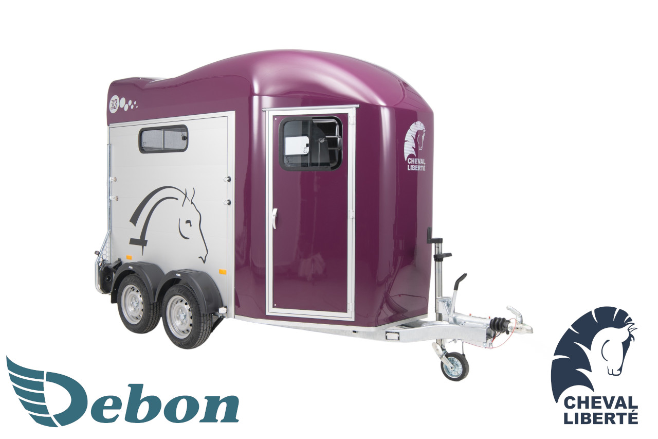 Debon Roadster 500 Aluminium Seitentür 3,13x1,65x1,99m 2000kg C500 Pullmann Fahwerk – Bild 19