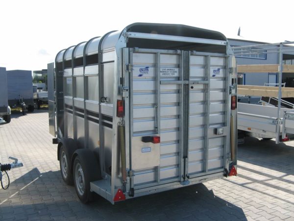 Ifor Williams TA5G 10x6 3,12x1,53x1,83m 2700kg +Rampetür +Quertrennung – Bild 8