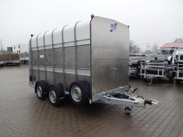 Ifor Williams TA510G 12x7 3,74x1,75x2,12m 3500kg +Rampetür +Windspoiler +Quertrennung – Bild 2