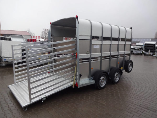 Ifor Williams TA510G 12x7 3,74x1,75x2,12m 3500kg +Rampetür +Windspoiler +Quertrennung – Bild 6