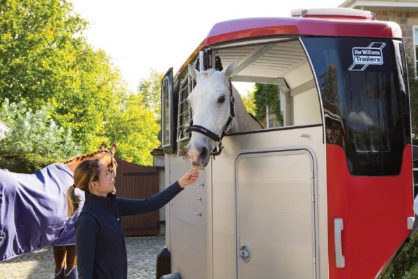Ifor Williams HBX 511 Sattelkammer